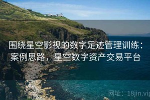 围绕星空影视的数字足迹管理训练：案例思路，星空数字资产交易平台