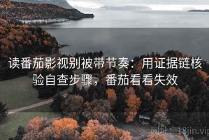 读番茄影视别被带节奏：用证据链核验自查步骤，番茄看看失效