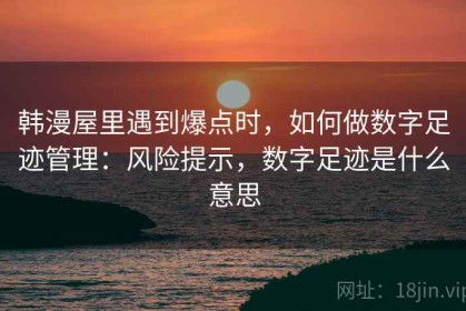 韩漫屋里遇到爆点时，如何做数字足迹管理：风险提示，数字足迹是什么意思