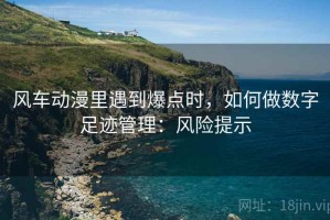 风车动漫里遇到爆点时，如何做数字足迹管理：风险提示