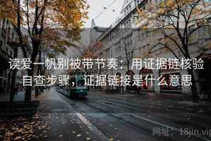 读爱一帆别被带节奏：用证据链核验自查步骤，证据链接是什么意思