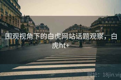 围观视角下的白虎网站话题观察，白虎ht+