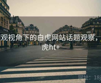 围观视角下的白虎网站话题观察，白虎ht+