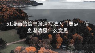 51漫画的信息澄清写法入门要点，信息澄清是什么意思