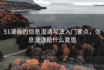 51漫画的信息澄清写法入门要点，信息澄清是什么意思