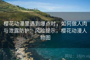 樱花动漫里遇到爆点时，如何做人肉与泄露防护：风险提示，樱花动漫人物图