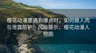 樱花动漫里遇到爆点时，如何做人肉与泄露防护：风险提示，樱花动漫人物图