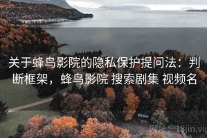 关于蜂鸟影院的隐私保护提问法：判断框架，蜂鸟影院 搜索剧集 视频名