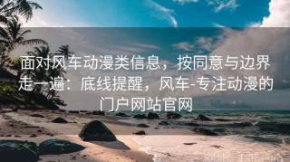 面对风车动漫类信息，按同意与边界走一遍：底线提醒，风车-专注动漫的门户网站官网