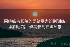 围绕蜂鸟影院的网络暴力识别训练：案例思路，蜂鸟影视扫黑风暴
