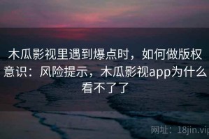 木瓜影视里遇到爆点时，如何做版权意识：风险提示，木瓜影视app为什么看不了了