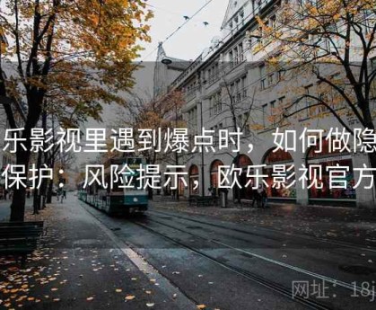 欧乐影视里遇到爆点时，如何做隐私保护：风险提示，欧乐影视官方