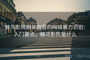 蜂鸟影院相关内容的网络暴力识别：入门要点，蜂鸟影院是什么