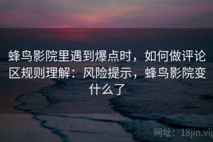 蜂鸟影院里遇到爆点时，如何做评论区规则理解：风险提示，蜂鸟影院变什么了