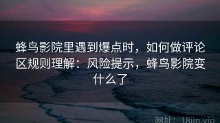 蜂鸟影院里遇到爆点时，如何做评论区规则理解：风险提示，蜂鸟影院变什么了