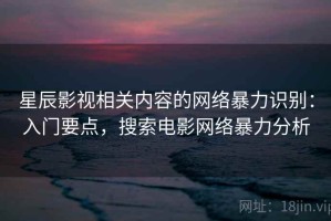 星辰影视相关内容的网络暴力识别：入门要点，搜索电影网络暴力分析