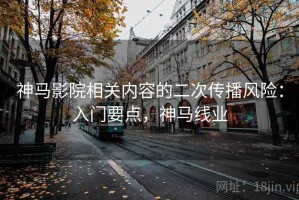 神马影院相关内容的二次传播风险：入门要点，神马线业