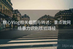 糖心Vlog相关截图与转述：重点做网络暴力识别核验路径