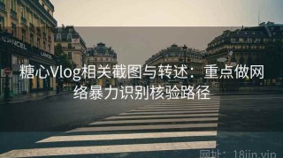 糖心Vlog相关截图与转述：重点做网络暴力识别核验路径