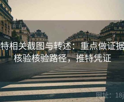推特相关截图与转述：重点做证据链核验核验路径，推特凭证