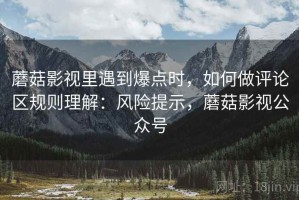 蘑菇影视里遇到爆点时，如何做评论区规则理解：风险提示，蘑菇影视公众号