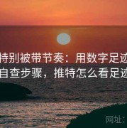 读推特别被带节奏：用数字足迹管理自查步骤，推特怎么看足迹