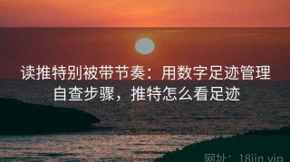 读推特别被带节奏：用数字足迹管理自查步骤，推特怎么看足迹