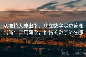 从推特大神出发，建立数字足迹管理判断：实用建议，推特的数字id在哪