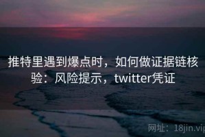 推特里遇到爆点时，如何做证据链核验：风险提示，twitter凭证