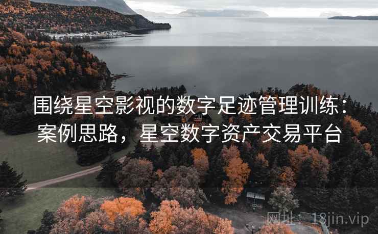 围绕星空影视的数字足迹管理训练：案例思路，星空数字资产交易平台
