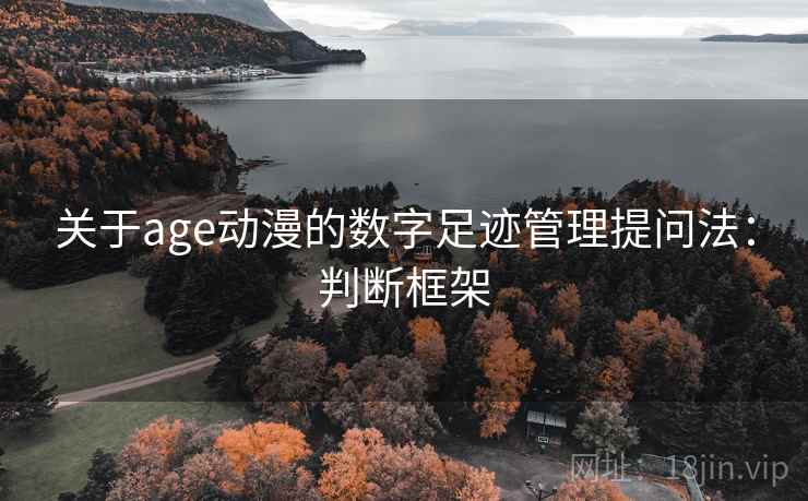 关于age动漫的数字足迹管理提问法：判断框架