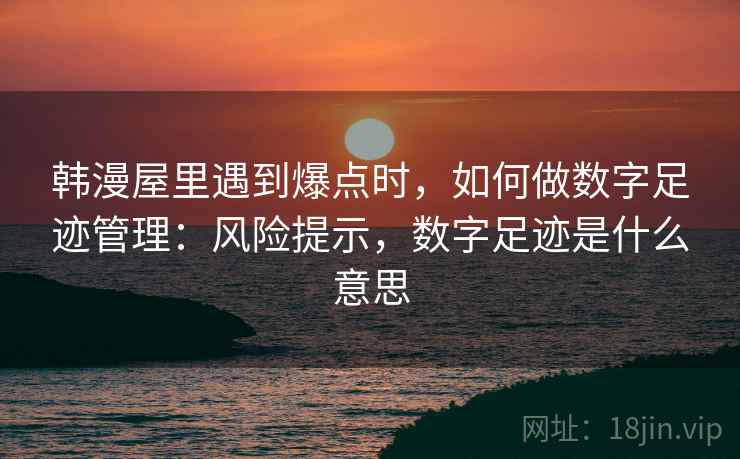 韩漫屋里遇到爆点时，如何做数字足迹管理：风险提示，数字足迹是什么意思