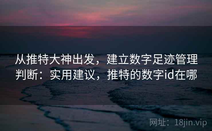 从推特大神出发，建立数字足迹管理判断：实用建议，推特的数字id在哪