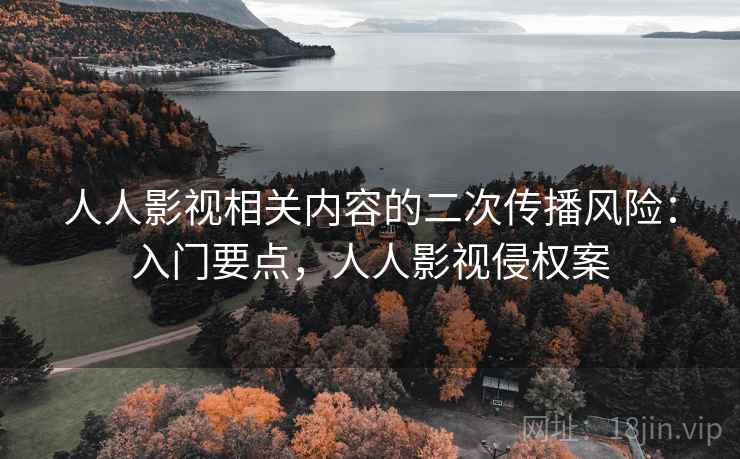 人人影视相关内容的二次传播风险：入门要点，人人影视侵权案