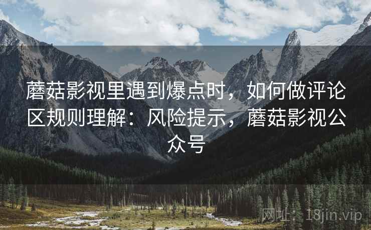 蘑菇影视里遇到爆点时，如何做评论区规则理解：风险提示，蘑菇影视公众号
