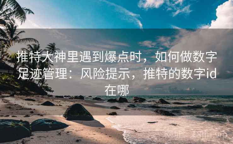 推特大神里遇到爆点时，如何做数字足迹管理：风险提示，推特的数字id在哪