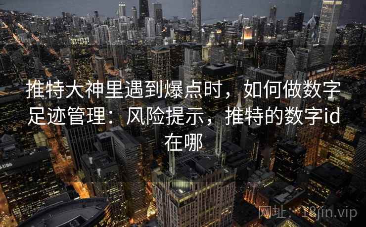 推特大神里遇到爆点时，如何做数字足迹管理：风险提示，推特的数字id在哪